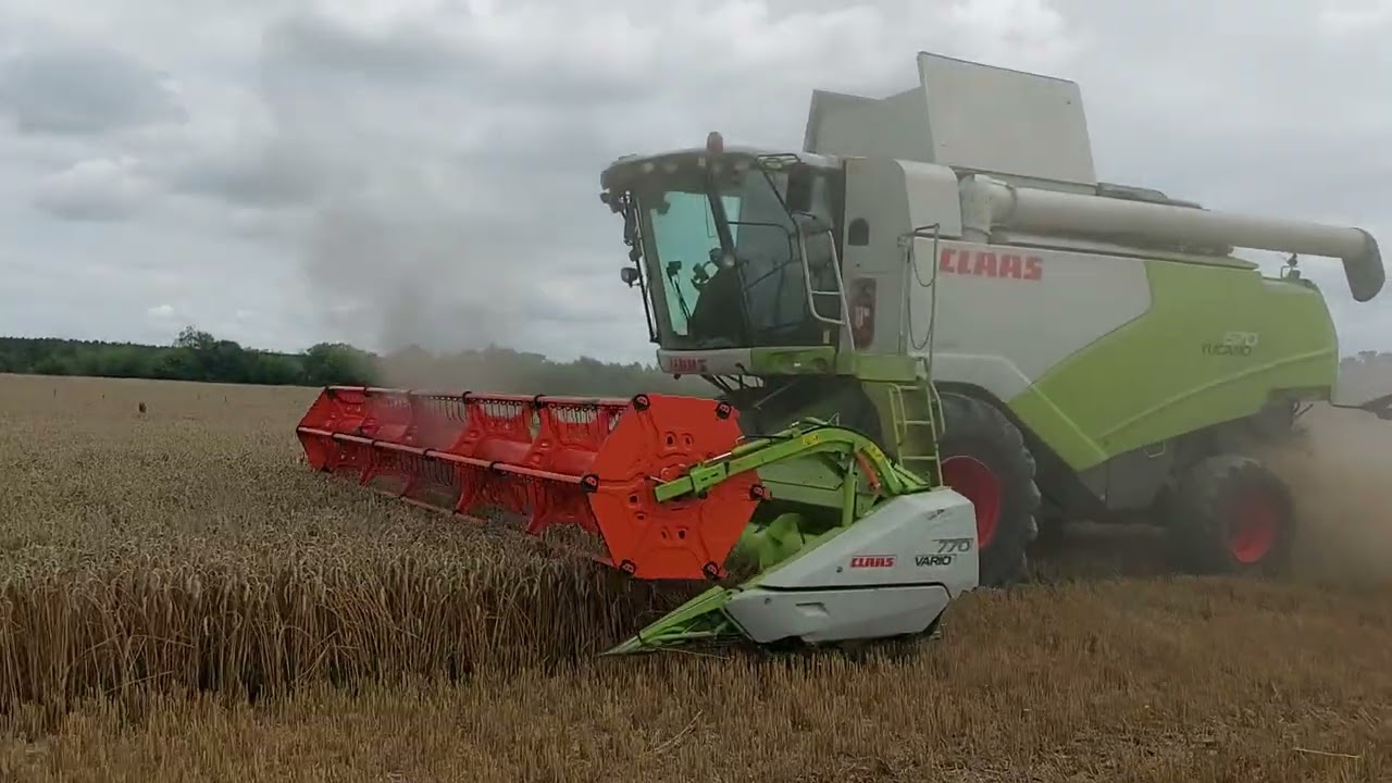 CLAAS TUCANO 570 Żniwa Małopolska 2025