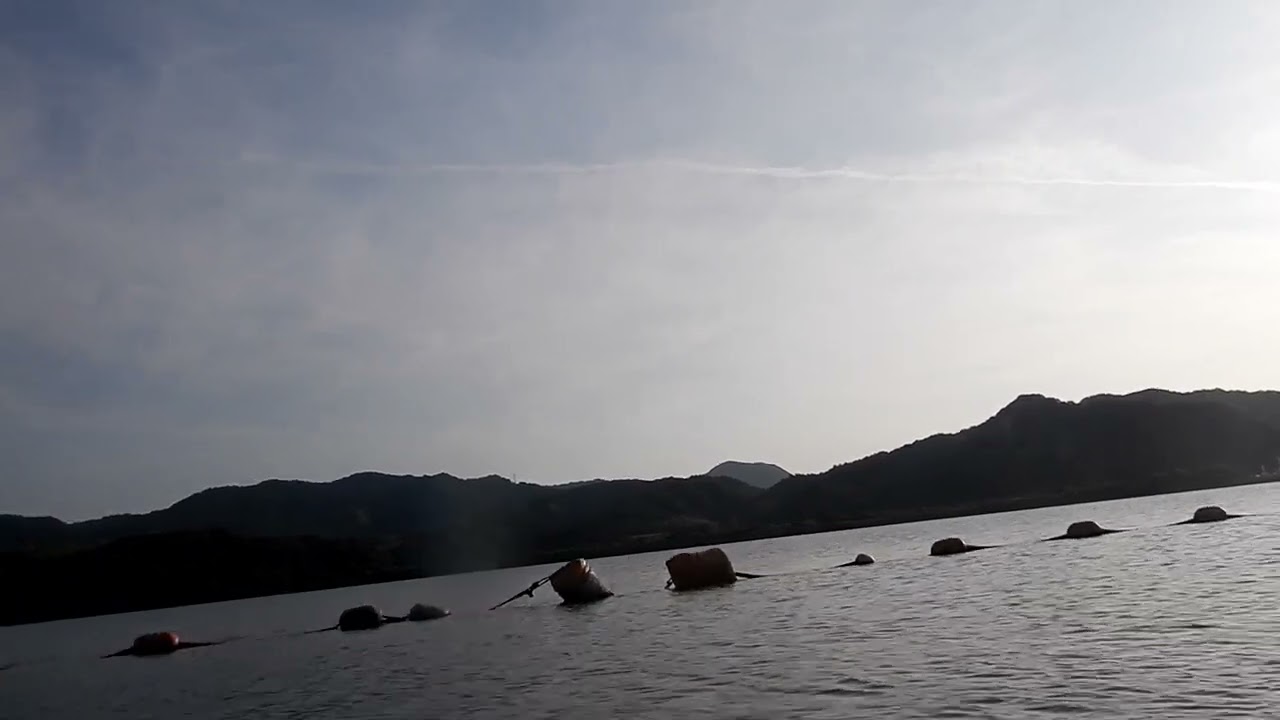 エノハ釣りの朝にて