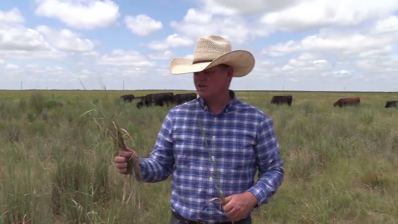 Grazing practices