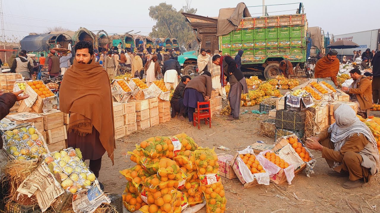 Imported vs Local Fruits Price, Quality & Market Trends| Mayar’s Fruits Daily Rates & Fresh Arrivals