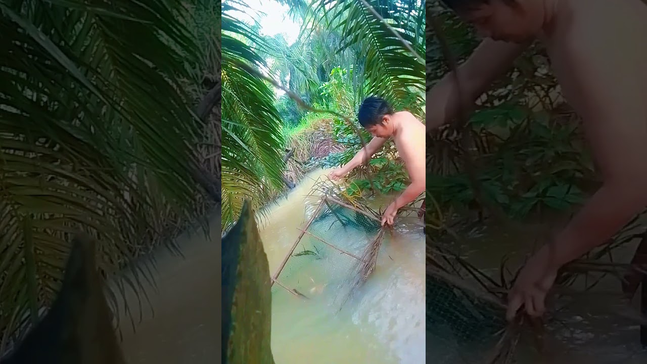 epsd 3 , cek perangkap ikan , dapat ikan lele jumbo 