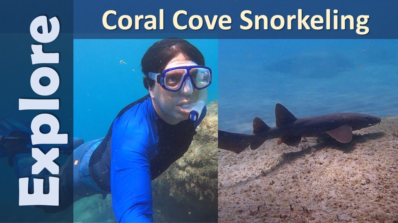 Coral Cove Snorkeling - July 2020
