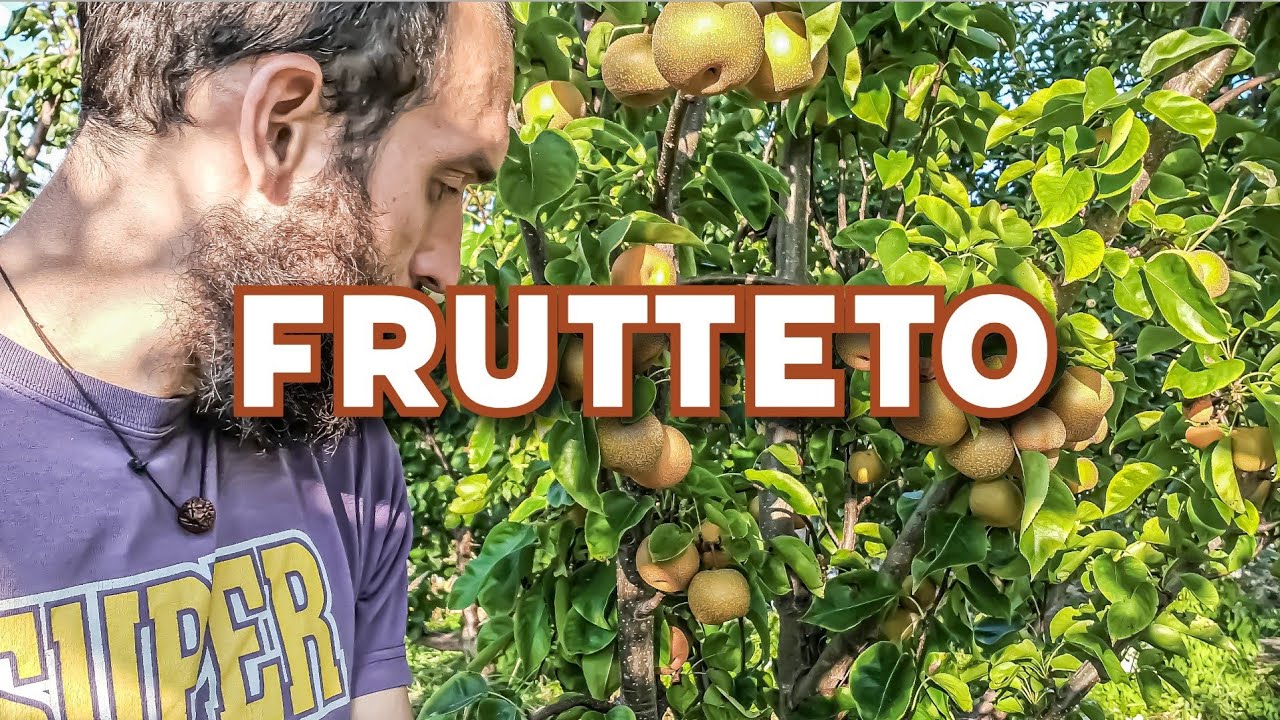 Frutteto Biologico - Ultimo giro prima di partire - (18 Luglio 2025)