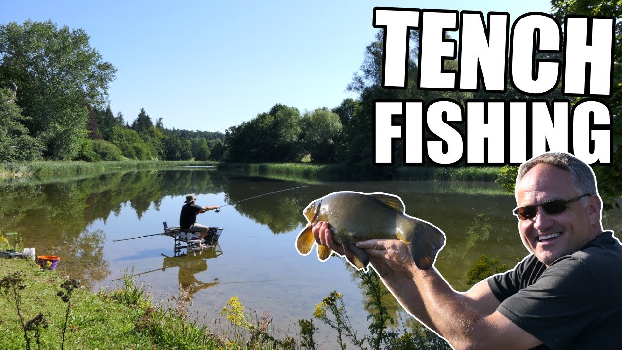 Waggler Fishing for Tench on an Old Estate Tench Lake