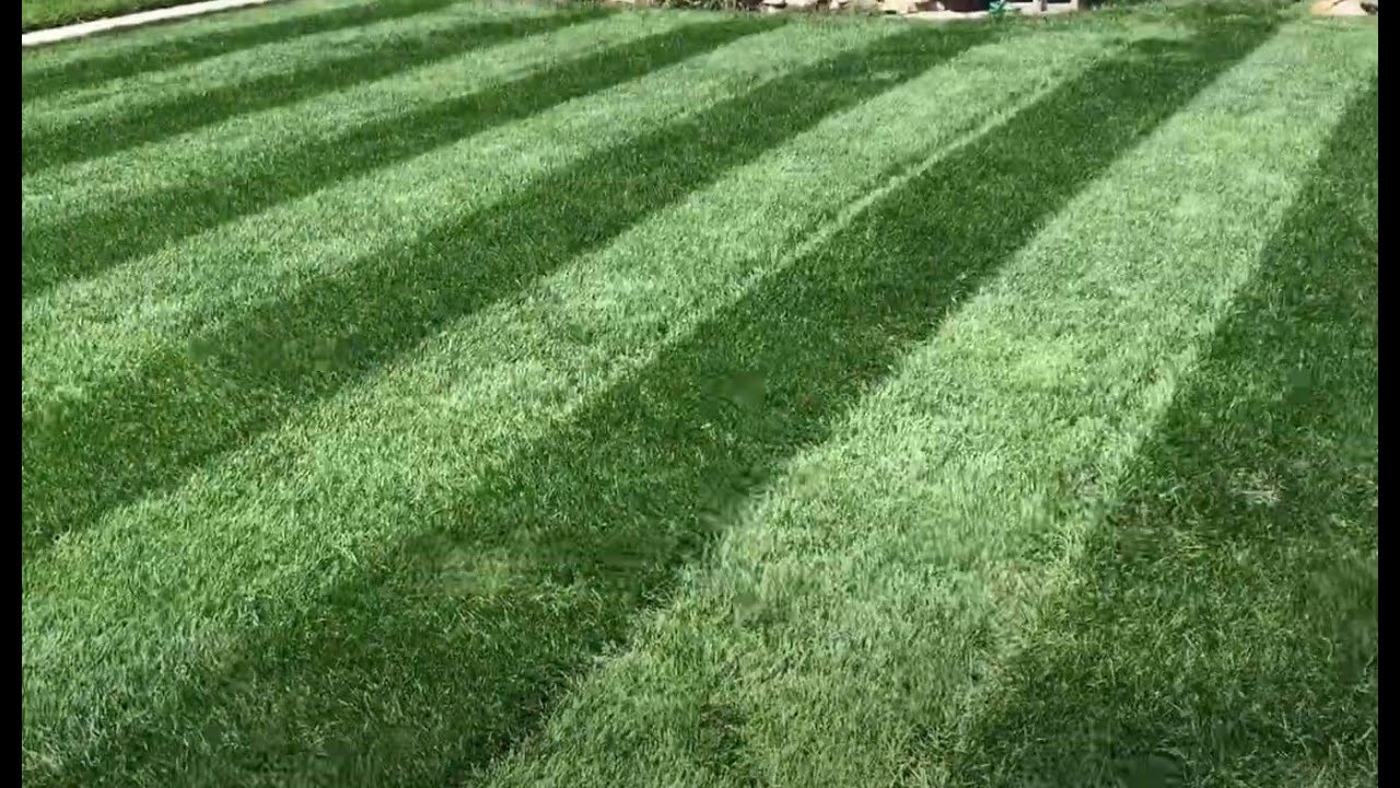 Big League Lawns Stripe - CheckMate on a Craftsman lawn mower, ***3 Month grass update GrandSlam.