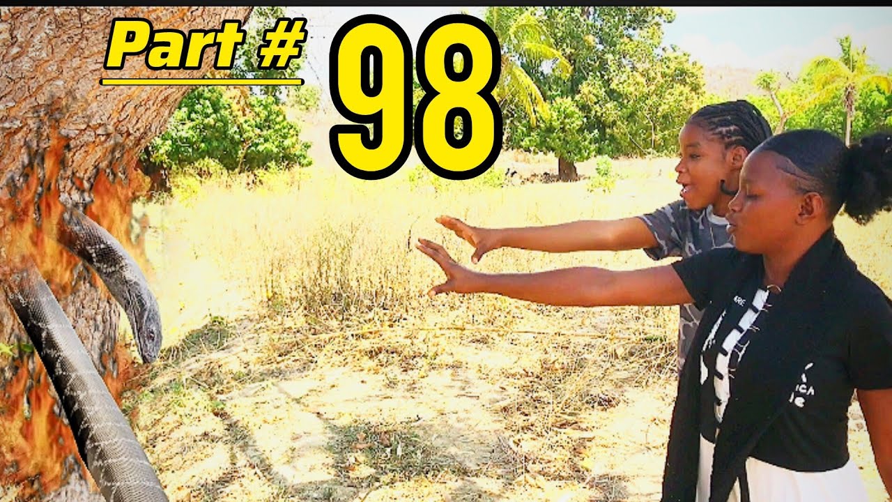 yon elev lekol ki renmen ak yon koulev diabolik part 98 / woooooyyyy medam yo boule Ogou gen zen