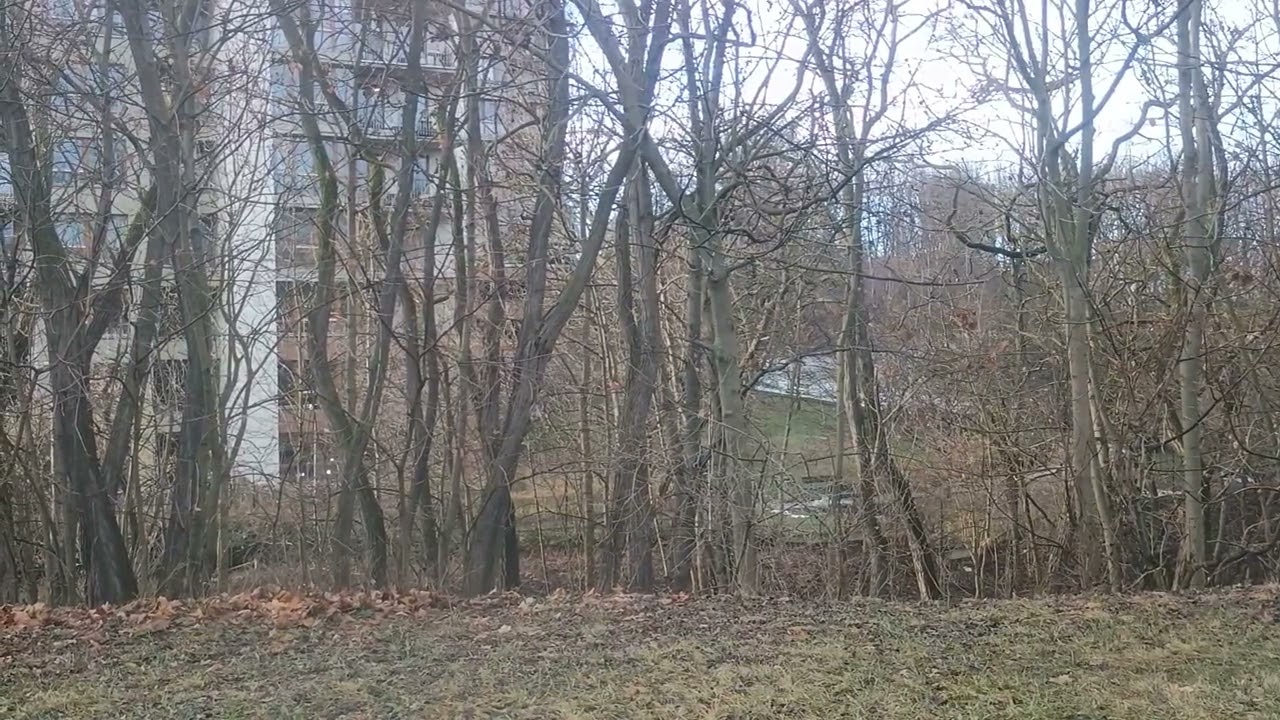Průjezd smyčkou Červený vrch z důvodu předjetí 
