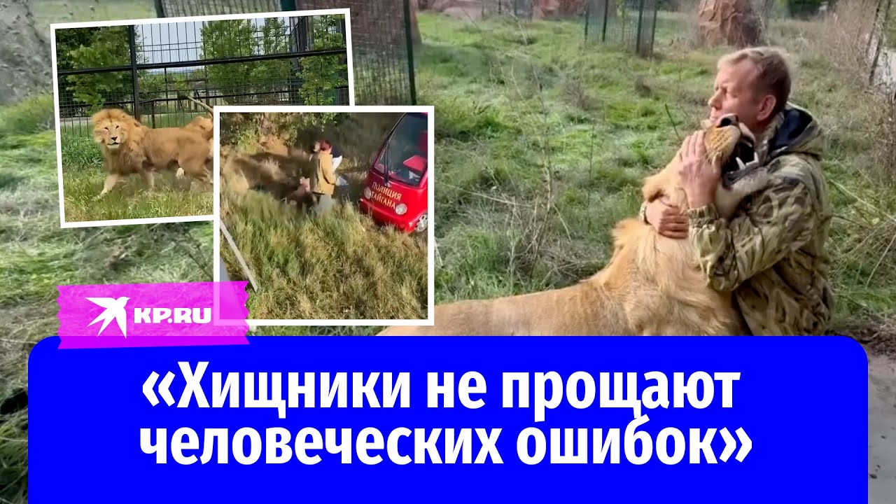 В парке &laquo;Тайган&raquo; на директора напали львы, которых он отказался усыплять после убийства сотрудницы
