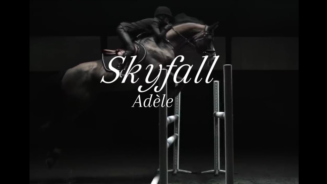 adele ~ skyfall || Equestrian Horse Music Video ||