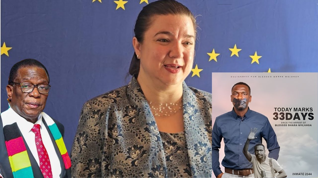 UNITED NATIONS AND THE EU WARN MNANGAGWA GVT OVER HUMAN RIGHTS AFTER THREATENING BLESSED MHLANGA