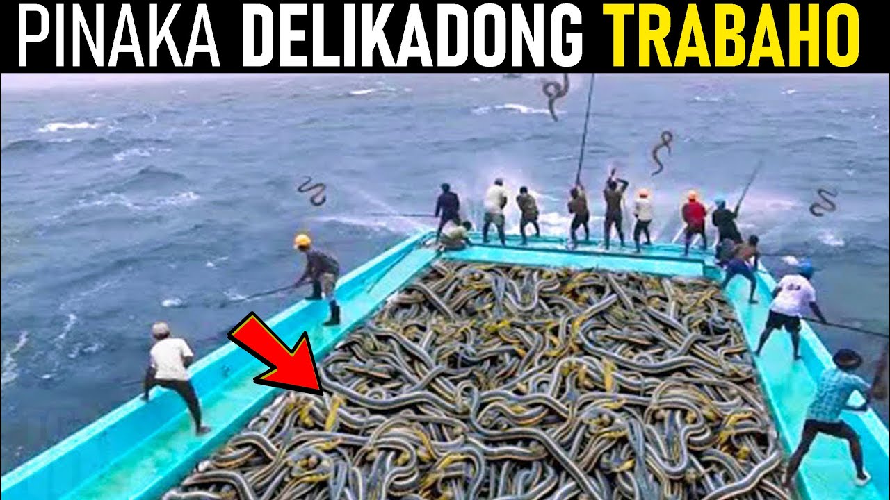 Pinaka Delikadong Trabaho Sa Buong Mundo | kwentong may kaalaman