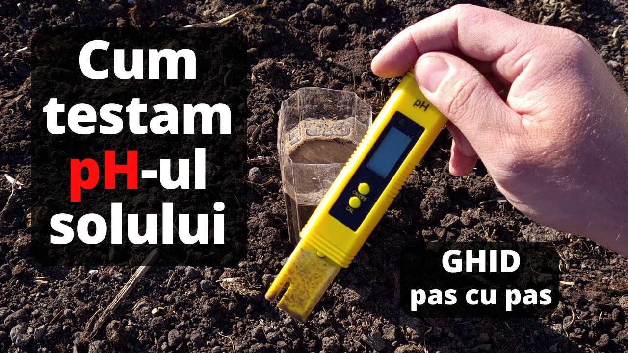 Testul pH-ului solului facut in mod corect