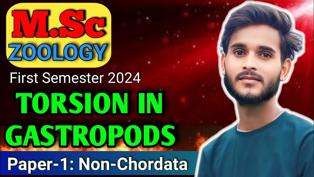 Torsion in Gastropods | MSc Zoology 1st Semester Exam 2024 | MJPRU Non-Chordata Important Topic