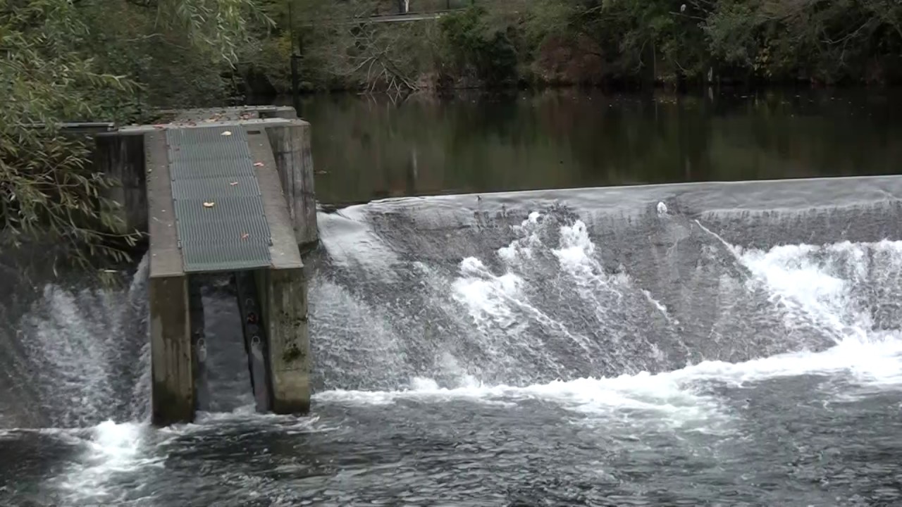 Ampuero  Salmones en el Asón