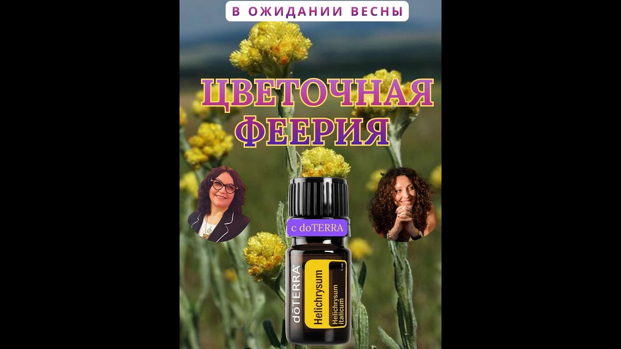 Бессмертник