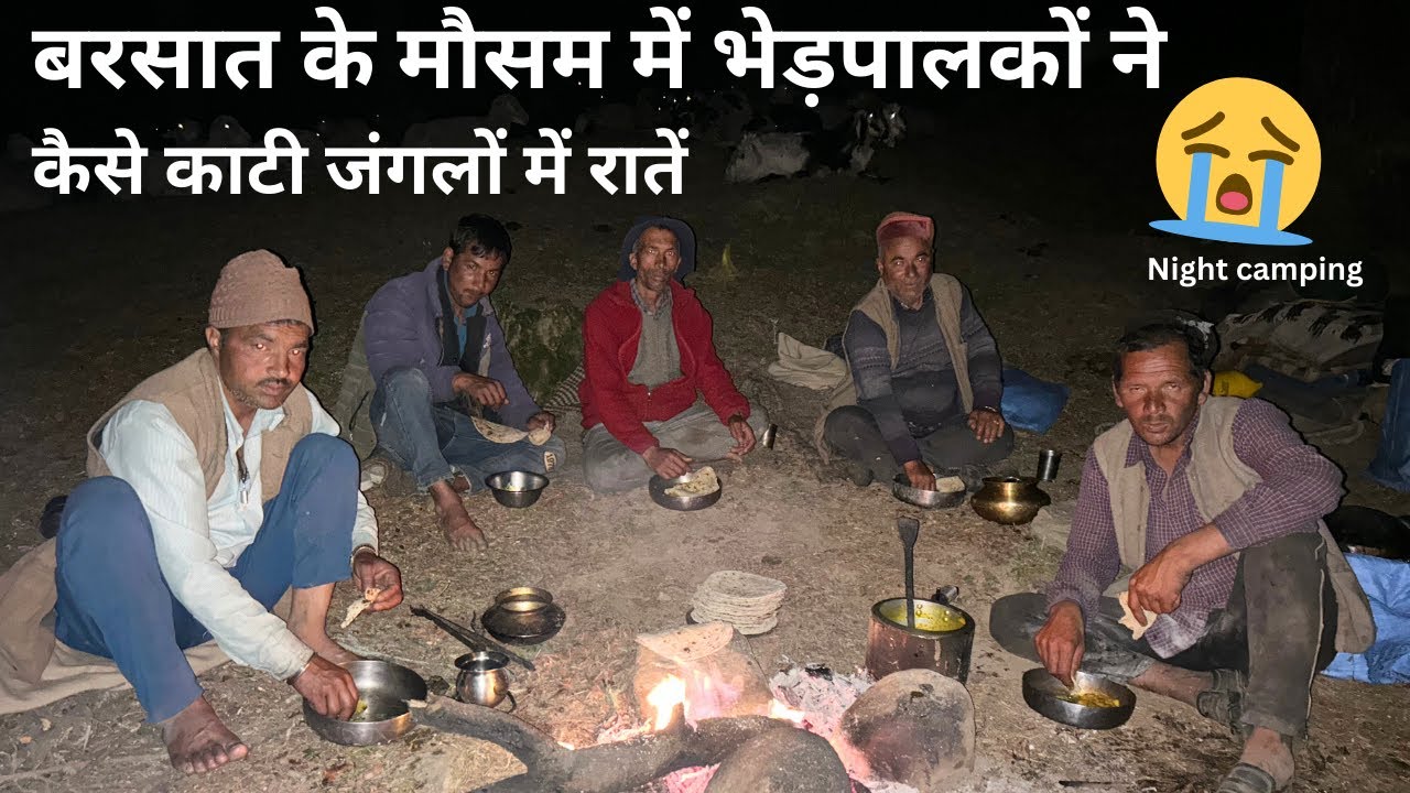 बरसात के मौसम में भेड़पालकों ने कैसे काटी जंगलों में रातें 😭सब जगह हालात ख़राब फिर भी रहे जंगलों में