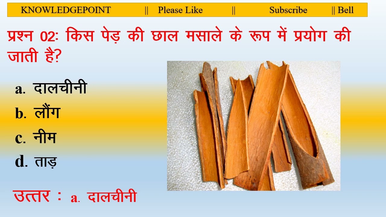 General Science by Knowledgepoint | Important Questions (Part-1)