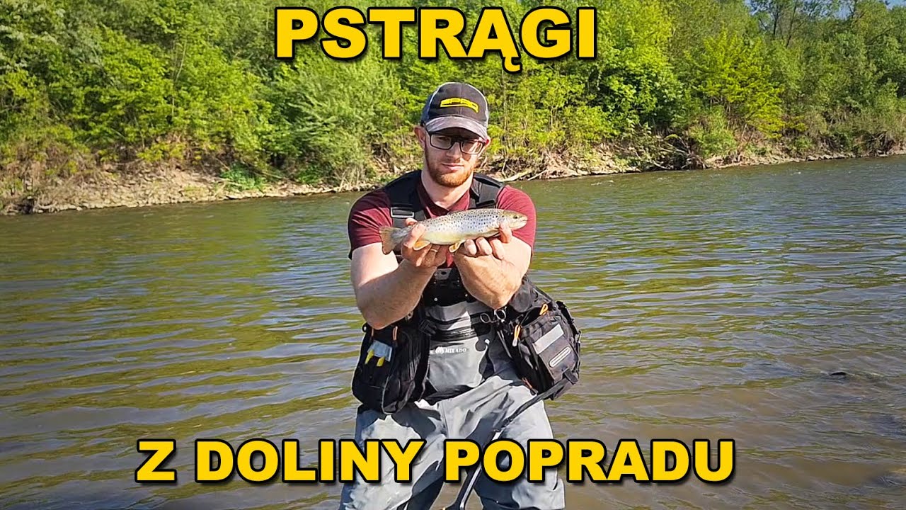 Pstrągi z Popradu na woblery i obrotówki 🎣 Utopiłem swój telefon! 😨😱 Spinning w dolinie Popradu 2024