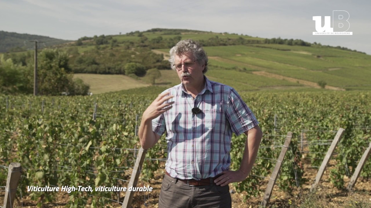 Viticulture high-tech, viticulture durable