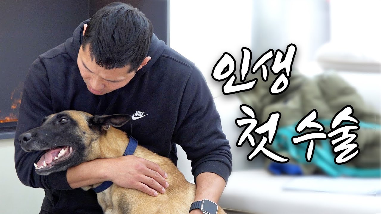 강형욱 반려견 수술 받는 날, 제발 건강만 해다오 [부제: 형욱의 지갑. 개통령도 한도가 있다]