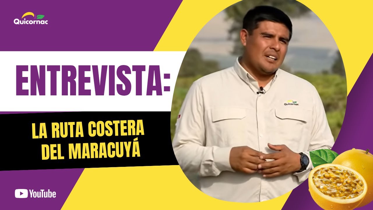 LA RUTA COSTERA DEL MARACUYÁ || Entrevista a Quicornac