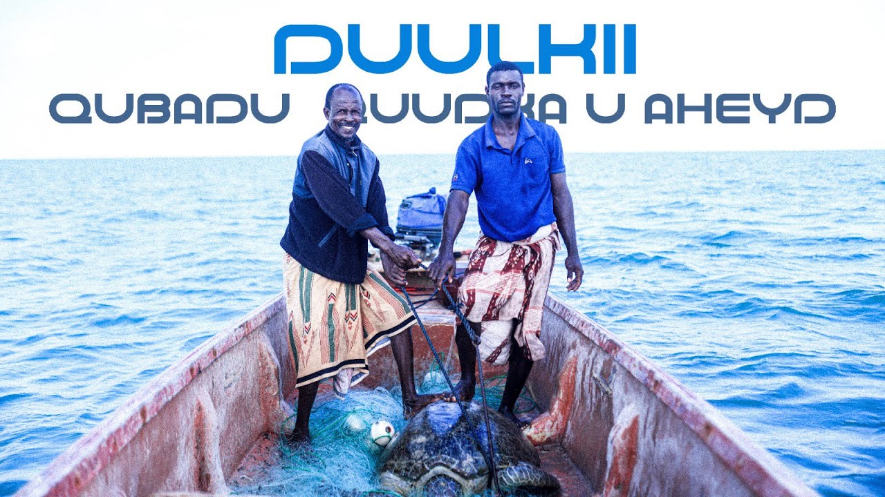 Garduush: Duulkii Qubadu, Quudka U Ahayd!