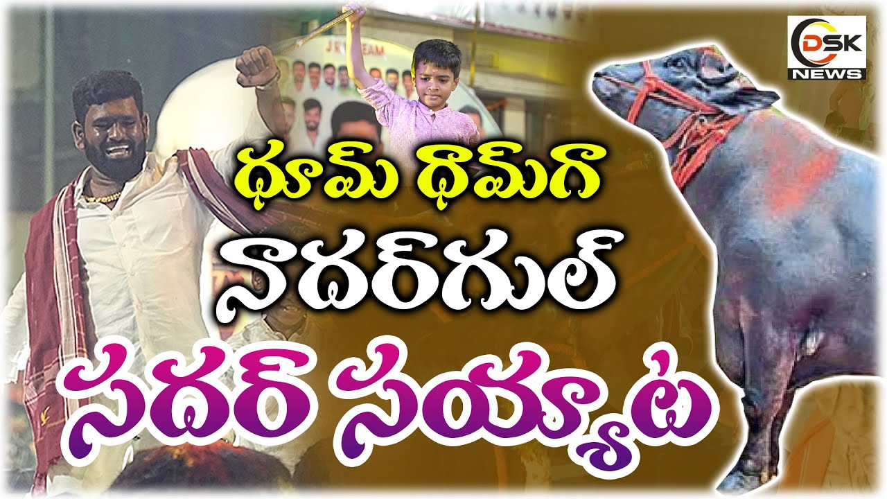 ధూమ్ ధామ్ గా నాదర్ గుల్ సదర్ సయ్యాట 🔥 | Nadergul Sadar 2025 Full Celebrations | DSK News Telugu