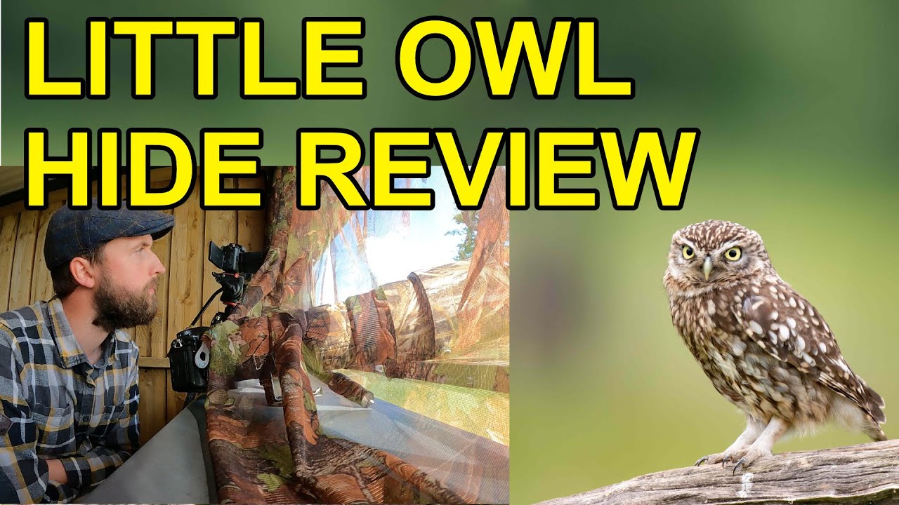 Hide Review: Brine Farm Little Owl Hide