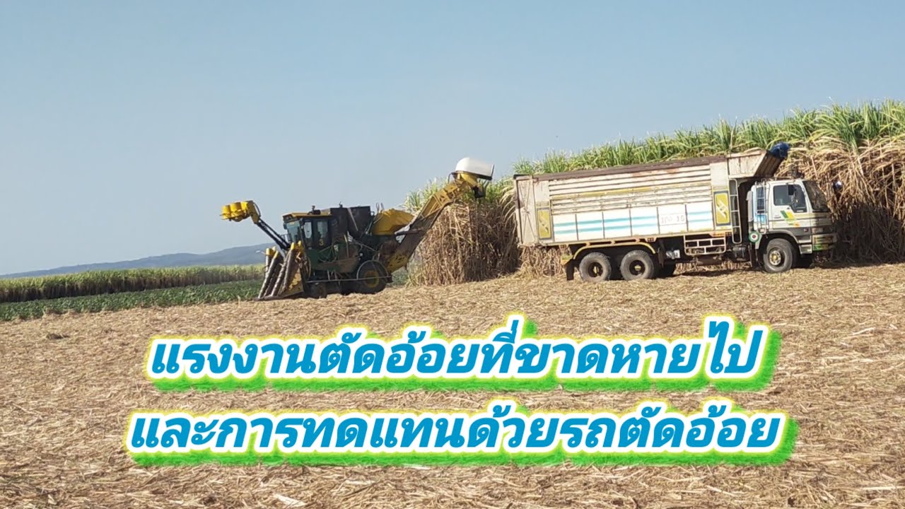 การทดแทนแรงงานด้วยรถตัดอ้อย EP 37/69