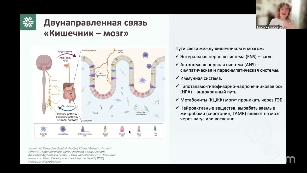 🧠 Мозг начинается в кишечнике - как управлять ясностью, настроением и фокусом через микробиом #sw