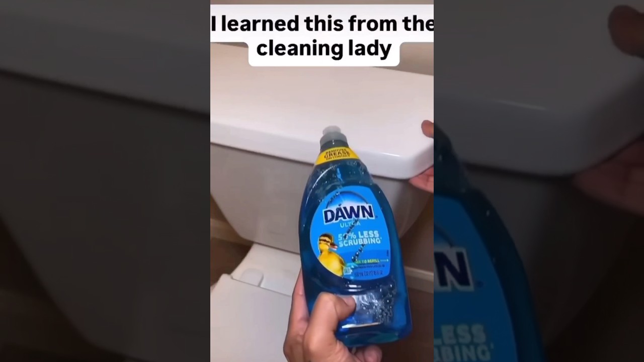 Toilet Bowl Cleaner Hack