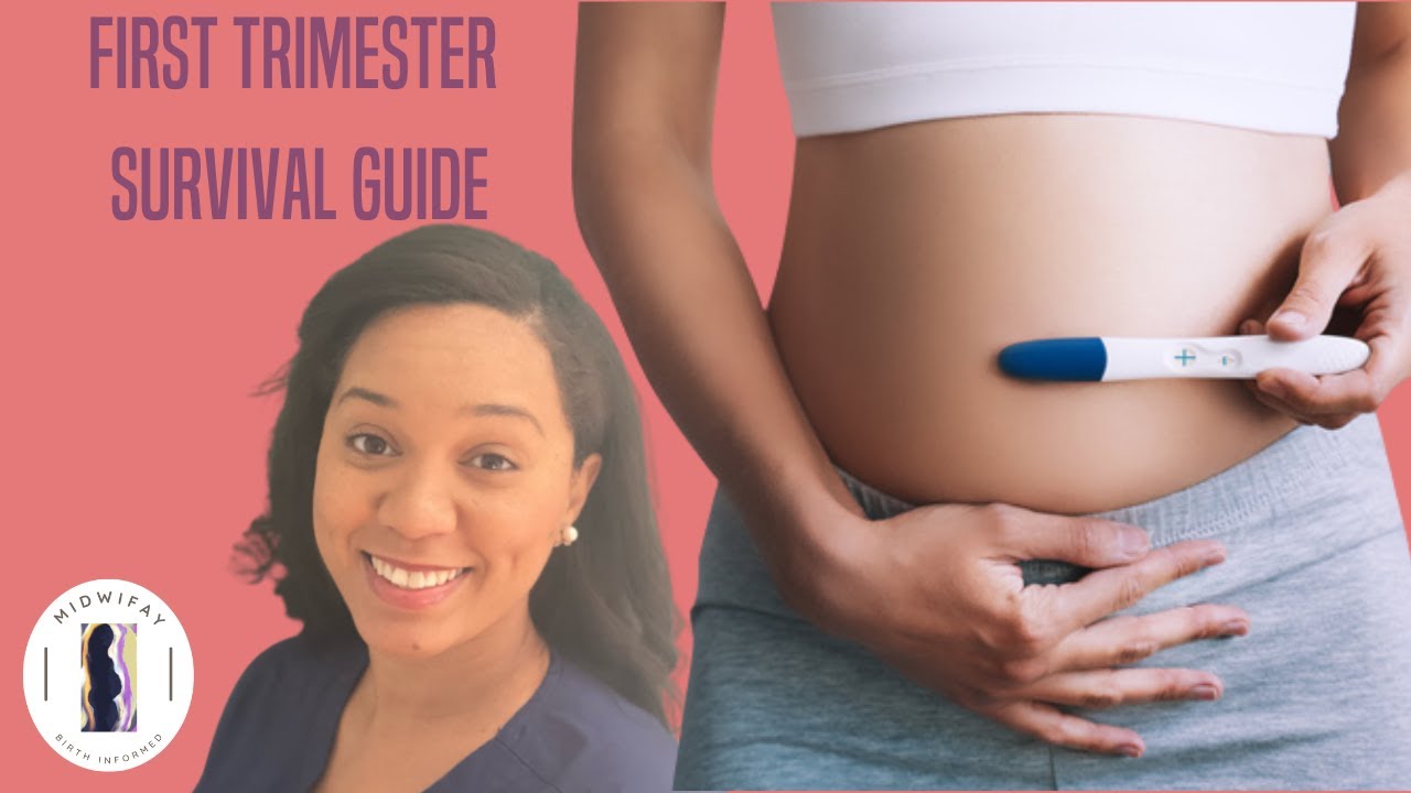 First Trimester Survival Guide