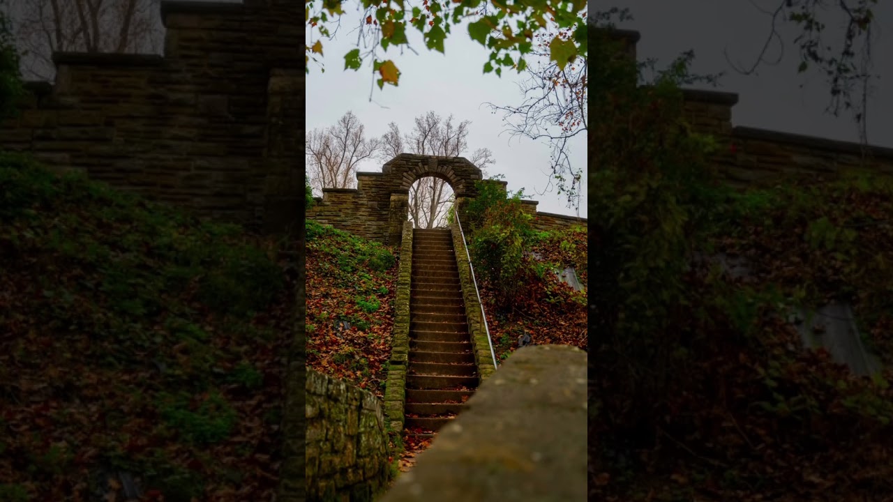 Walking around and taking photos is always relaxing. #sonya7iii #naturephotography #photowalks