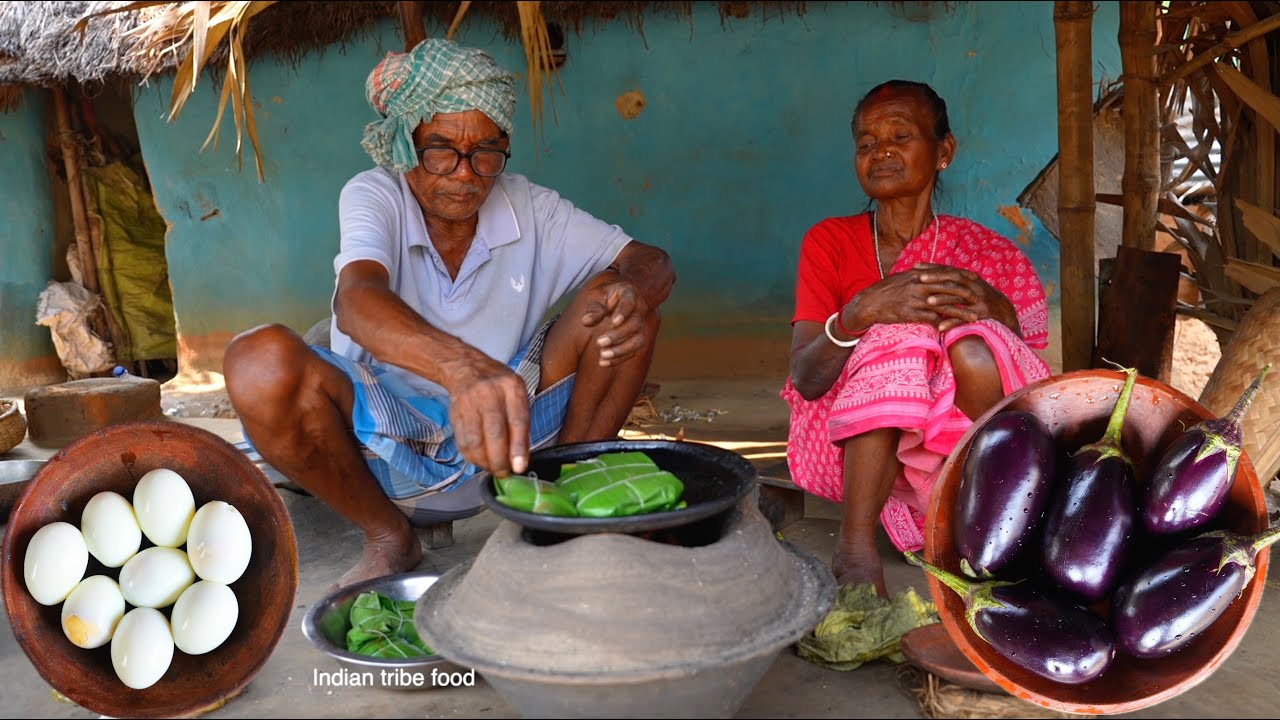 EGG BRINJAL RECIPE | village style brinjal collecting and cooking brinjal egg fry | village food