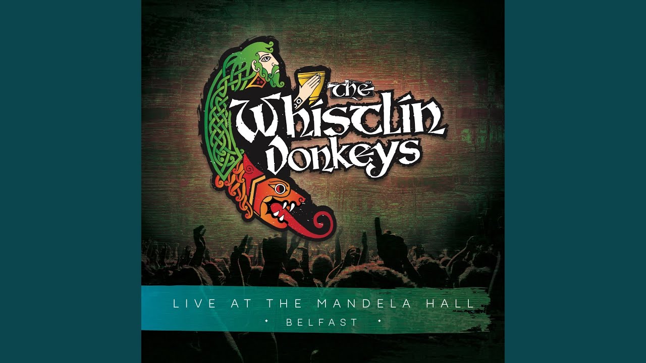 Travelin' Soldier (Live)
