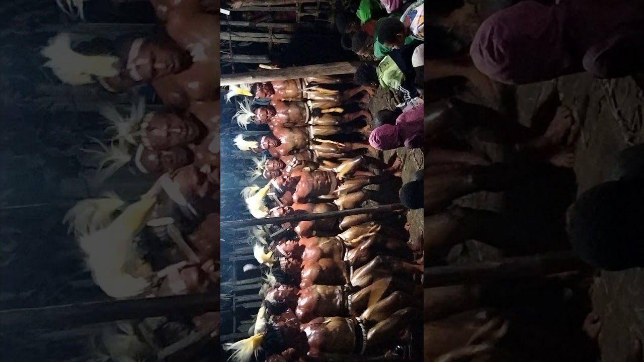 Tarian adat suku ngalum kabupaten pegunungan bintang 🔥🙏🏻