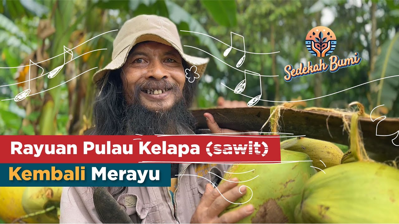 Rayuan Pulau Kelapa (sawit), Kembali Merayu