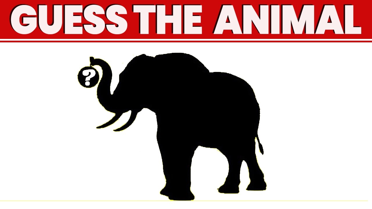 🐾 Guess the Animal by Shadow 🧠 | Educational Kids Brain Quiz Game
