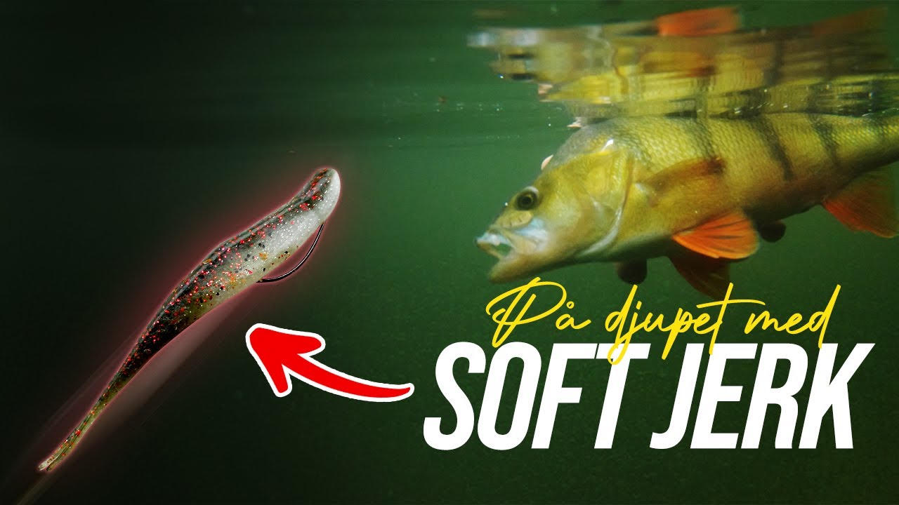 Så fiskar du Soft jerk / Fluke efter abborre - Nörderivarning!
