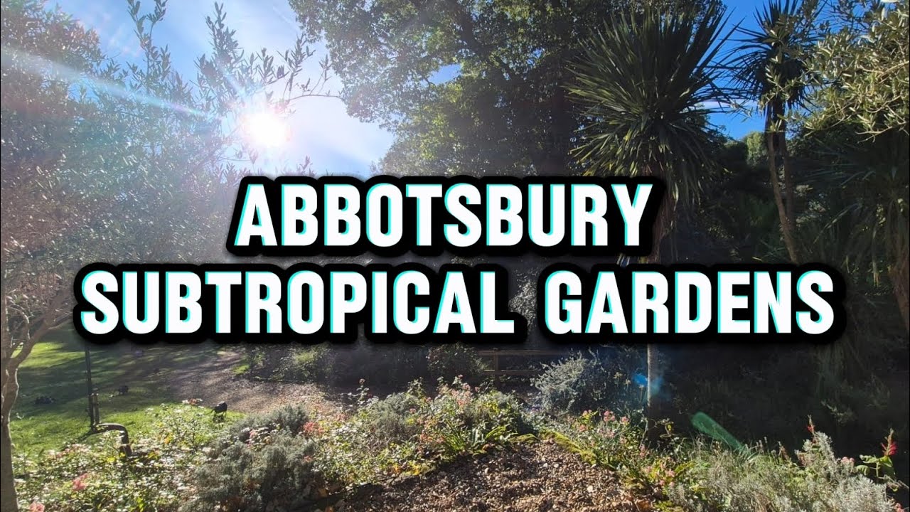  A Short Visit To Abbotsbury Subtropical Gardens.