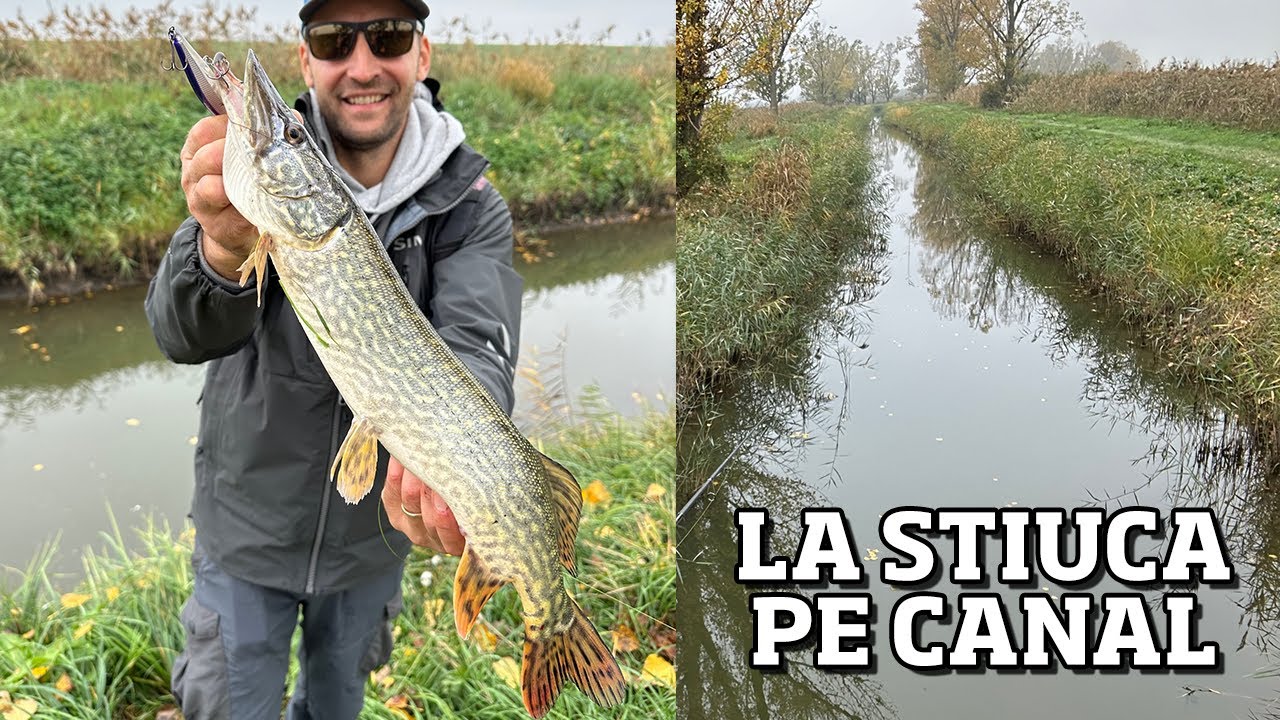 SUPER PESCUIT la STIUCA pe un CANAL MIC