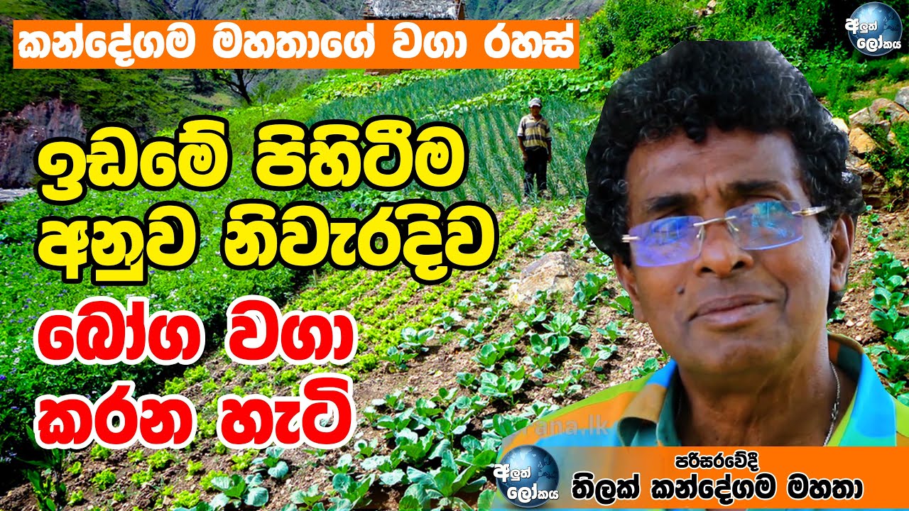 ඉඩමේ පිහිටීම අනුව බෝග වගා කරන හැටි (කන්දේගම මහතාගේ වගා රහස්) - THILAK KANDEGAMA
