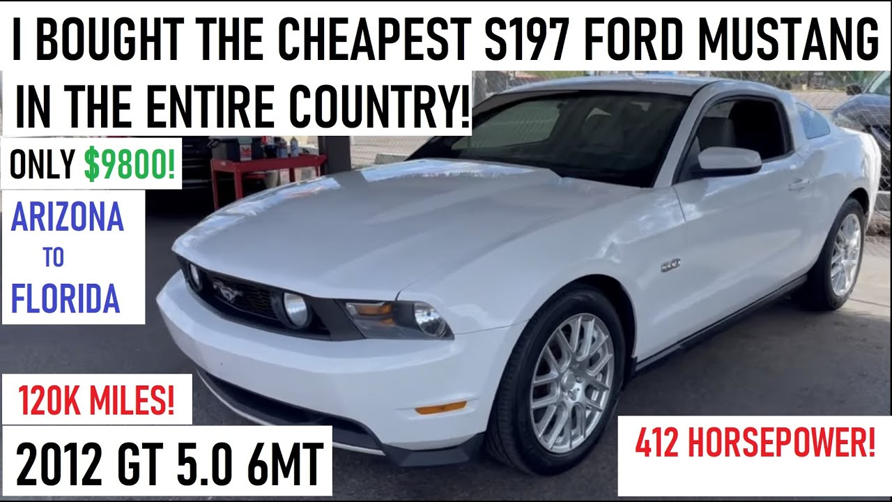 Buying the CHEAPEST S197 Ford Mustang 5.0 6MT in the COUNTRY! Best/Worst Road Trip Ever??? AZ to FL!