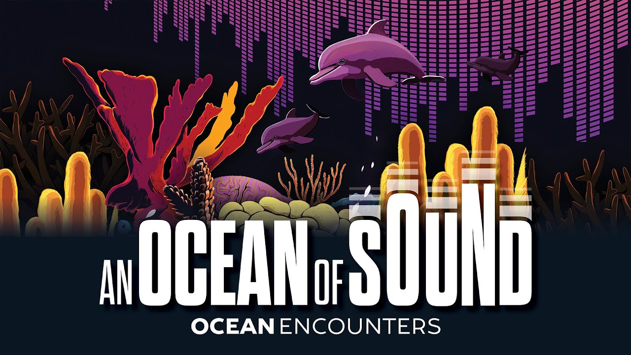 Ocean Encounters: An Ocean of Sound