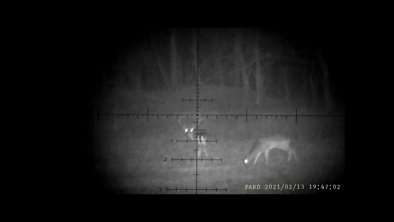 Pard NV007A vs  Sytong HT-66, built in IR only