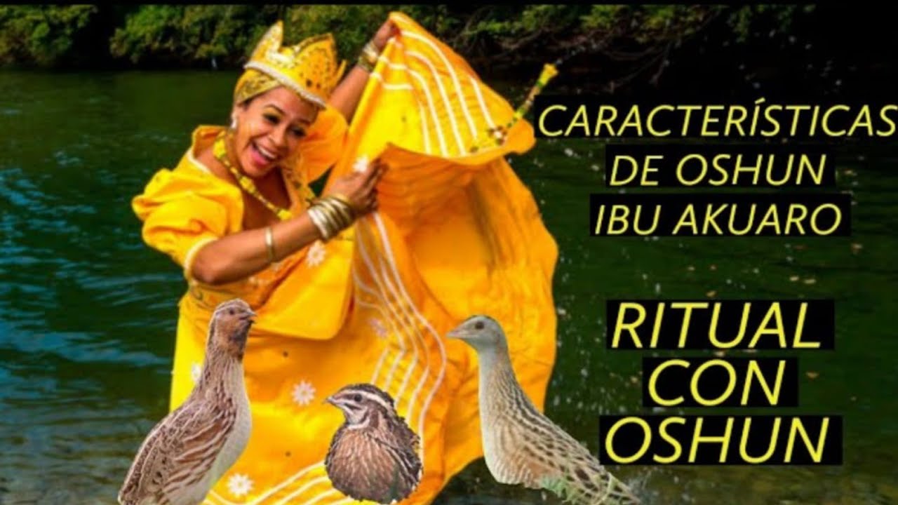 Quien es Oshun Ibu Akuaro...Ritual con Oshun 💛