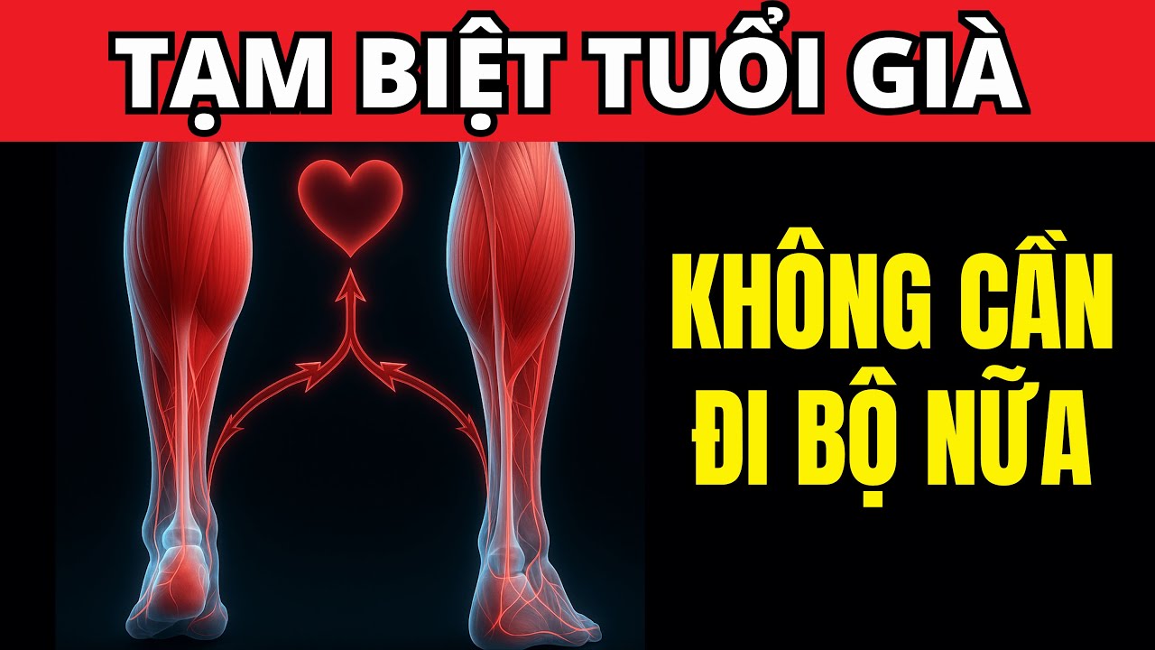 Đánh thức trái tim thứ 2 - Chỉ 1 bài tập và bạn không cần đi bộ nữa | Dr. Tim Spector