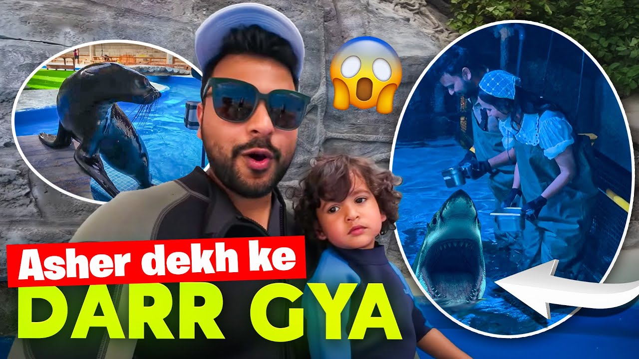 Crazy Sea Lions ke sath PICNIC in Abu Dhabi