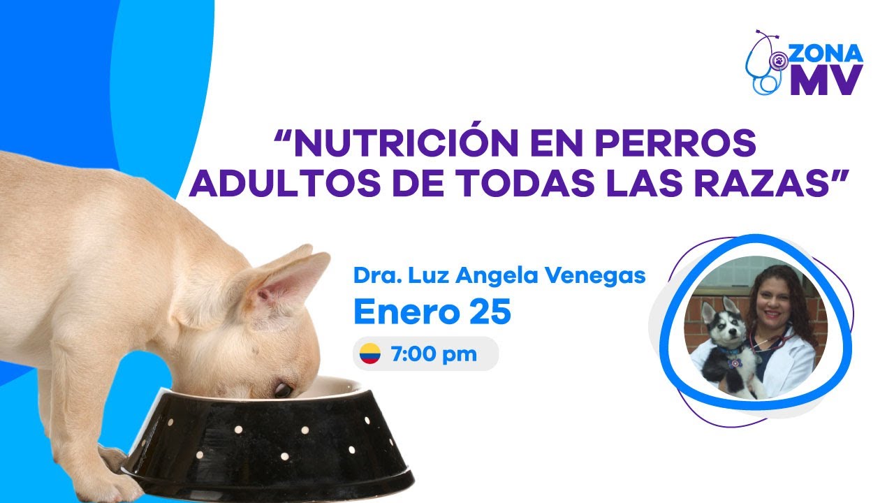 🎥🔴 Webinar Veterinario:  Nutrición en perros adultos de todas las razas 🐕🐶