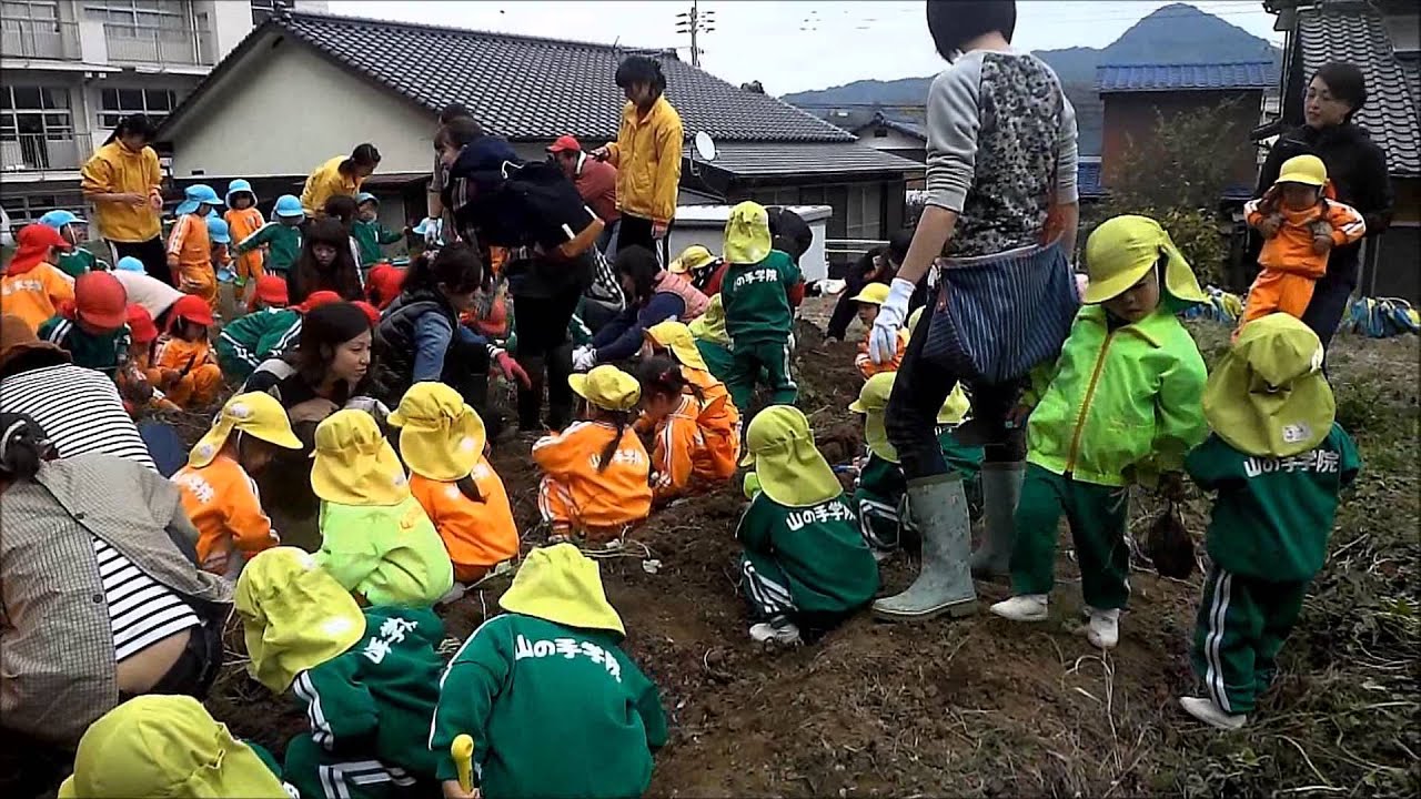 2014年少組芋ほり